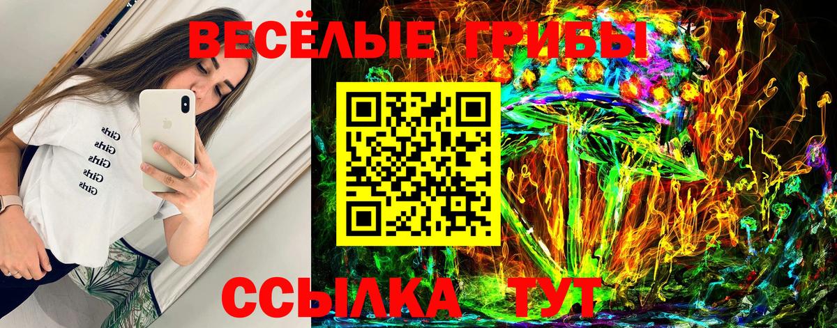 где можно купить   Вход с VPN  Галлюциногенные грибы Psilocybe  Шали  Галлюциногенные грибы Magic Shrooms 